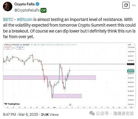 熊市中的逆袭者：波场生态的韧性成长记