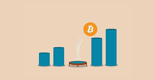 7月Web3市场观察：冰火两重天的数字资产世界